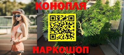 стафф Лесосибирск