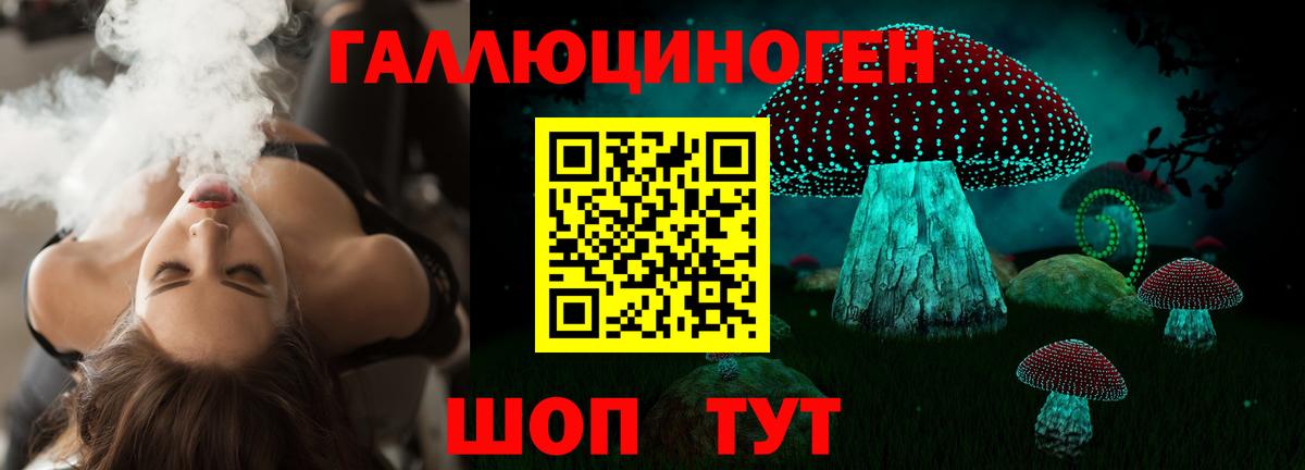 Галлюциногенные грибы Psilocybine cubensis  Вход с VPN  Фурманов  Галлюциногенные грибы прущие грибы 
